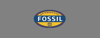 APSHAN LOGITICS PVT LTD